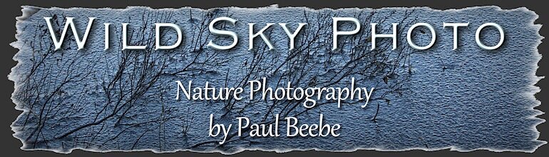 Wild Sky Photo - nature photography by Paul Beebe